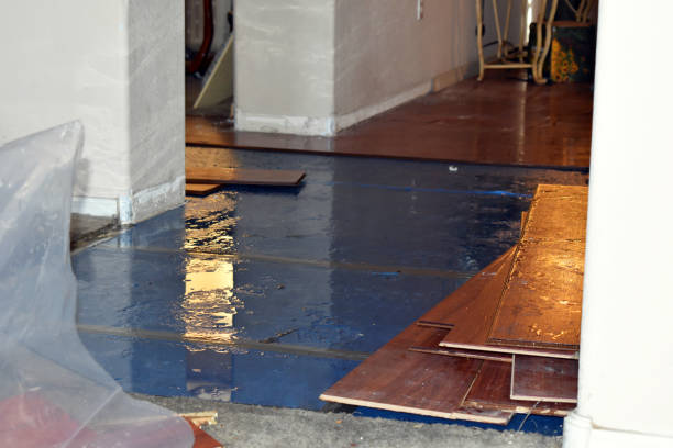 Professional Basement Flood Cleanup technician working in Venus, PA